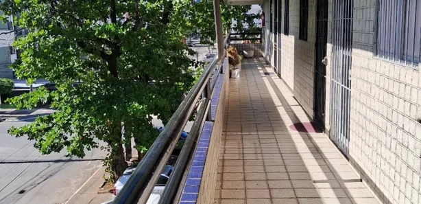 Conjunto Comercial / Sala com 1 Quarto à venda, 24m² no Candeias, Jaboatão dos Guararapes