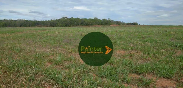 Fazenda / Sítio / Chácara à venda, 15972000m² no Área Rural de Gurupi, Gurupi