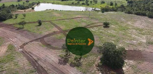 Fazenda / Sítio / Chácara à venda, 10430m² no Setor Central, Gurupi