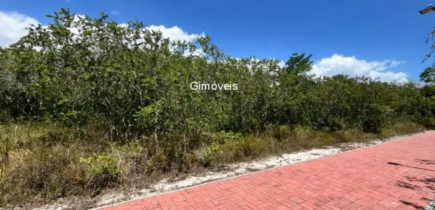 Terreno / Lote / Condomínio à venda, 1184m² no Catu de Abrantes (Abrantes), Camaçari