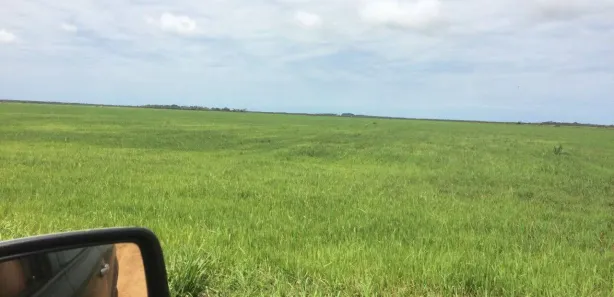 Terreno / Lote / Condomínio à venda, 1500m² no Setor Central, Lagoa da Confusão