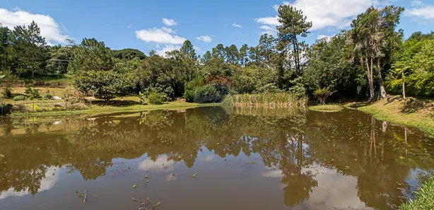 Fazenda / Sítio / Chácara com 10 Quartos à venda, 2000m² no Lagoa Grande, Embu-Guaçu