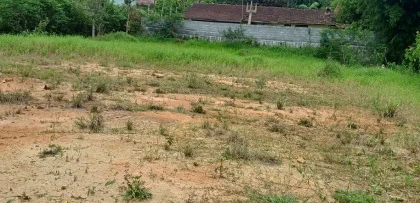 Fazenda / Sítio / Chácara à venda, 3662m² no Vargem Grande, Águas Mornas