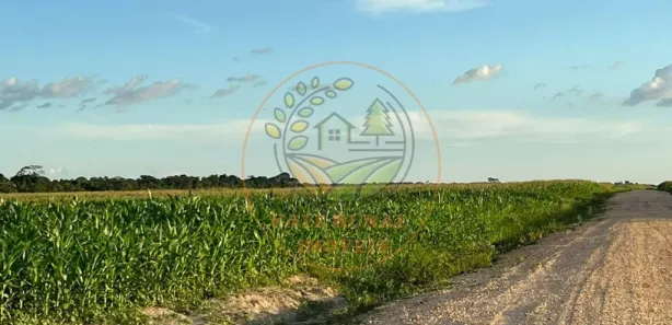 Fazenda / Sítio / Chácara com 6 Quartos à venda, 834m² no CENTRO, Lagoa da Confusão