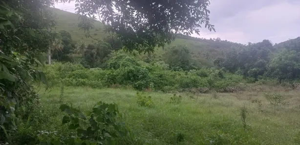 Fazenda / Sítio / Chácara à venda, 110000m² no Papucaia, Cachoeiras de Macacu
