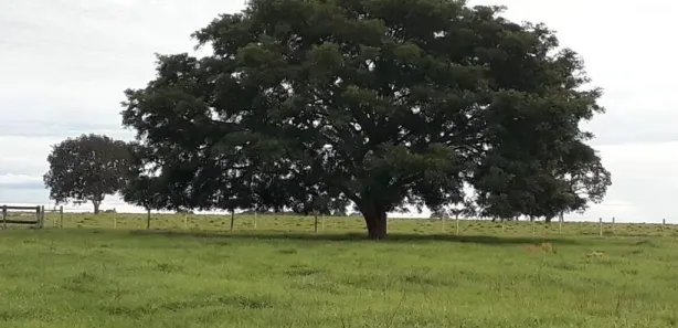 Fazenda / Sítio / Chácara à venda, 22651200m² no Setor Central, Divinópolis do Tocantins