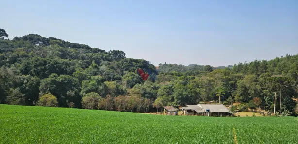 Fazenda / Sítio / Chácara com 1 Quarto à venda, 20000m² no Capela Velha, Araucária