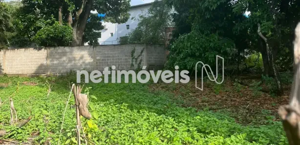Terreno / Lote Comercial à venda, 2000m² no Centro, São José da Lapa