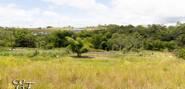Terreno / Lote / Condomínio à venda, 714m² no Loteamento Recanto dos Eucaliptos, Simões Filho