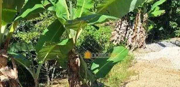Terreno / Lote / Condomínio à venda, 49839m² no Tribobó, São Gonçalo