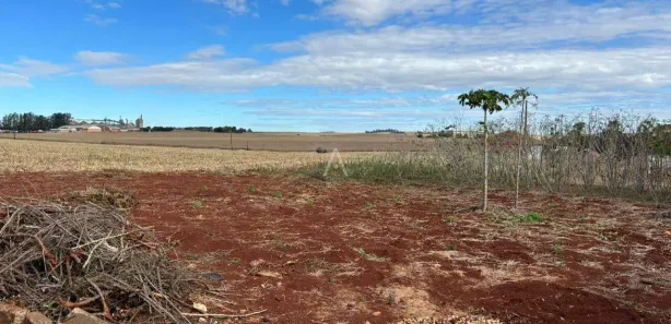 Terreno / Lote / Condomínio à venda, 300m² no Plano Piloto - Centro, Assis Chateaubriand