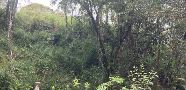 Terreno / Lote / Condomínio à venda, 4000m² no São João Batista, São João Batista