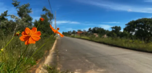 Terreno / Lote / Condomínio à venda, 1000m² no São José do Almeida, Jaboticatubas