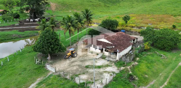 Fazenda / Sítio / Chácara à venda, 451900m² no , Canhotinho