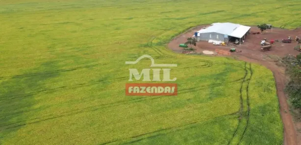 Fazenda / Sítio / Chácara à venda, 55000000m² no , Pedro Afonso