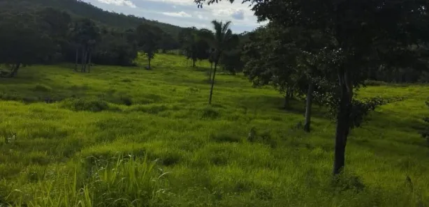 Terreno / Lote / Condomínio à venda, 253m² no Setor Aeroporto, Gurupi