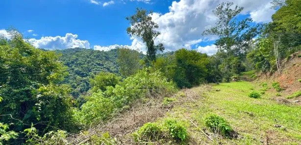 Terreno / Lote / Condomínio à venda, 3900m² no Itaipava, Petrópolis