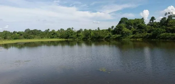 Fazenda / Sítio / Chácara com 3 Quartos à venda, 110m² no Gurupi, Gurupi