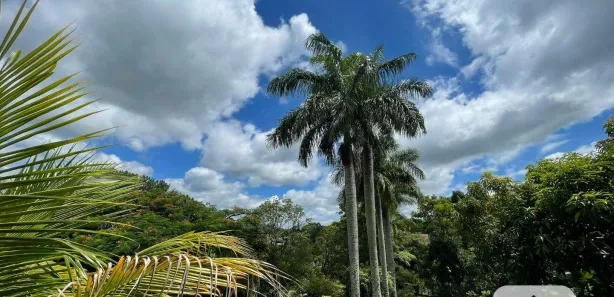 Fazenda / Sítio / Chácara com 4 Quartos à venda, 543m² no Monterrey, Louveira