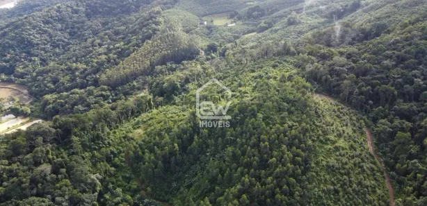 Fazenda / Sítio / Chácara com 1 Quarto à venda, 117526m² no , Massaranduba