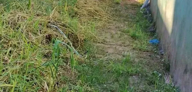 Terreno / Lote / Condomínio à venda, 125m² no Centro, Diadema