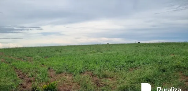 Fazenda / Sítio / Chácara à venda, 1621m² no , Santa Maria do Tocantins