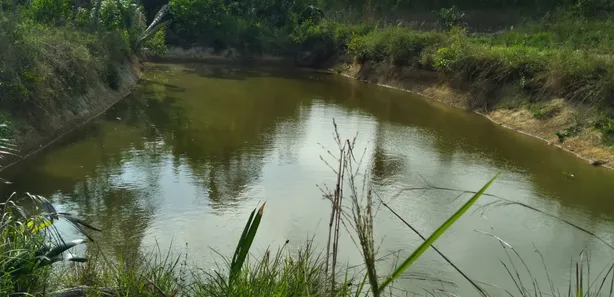 Fazenda / Sítio / Chácara com 3 Quartos à venda, 200m² no Centro, Itapecuru Mirim