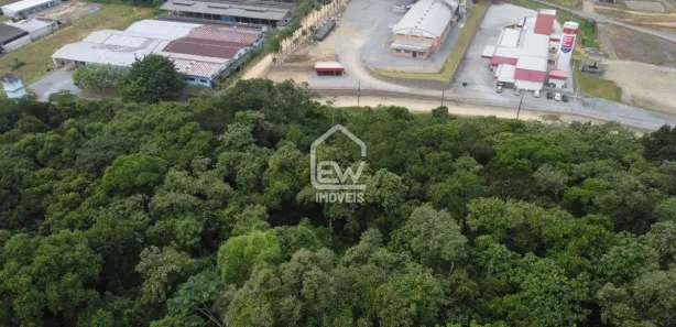 Galpão / Depósito / Armazém à venda, 39238m² no , Massaranduba
