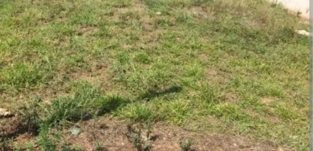 Terreno / Lote / Condomínio à venda, 130m² no Catu de Abrantes (Abrantes), Camaçari
