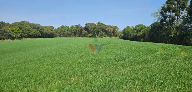 Fazenda / Sítio / Chácara com 1 Quarto à venda, 20000m² no Capela Velha, Araucária