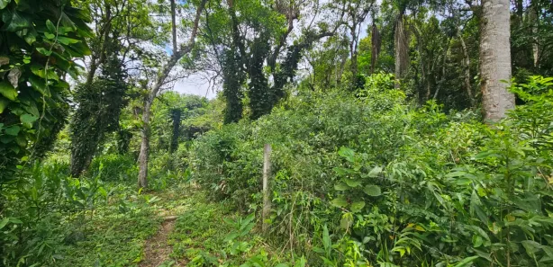 Terreno / Lote / Condomínio à venda, 2400m² no Antonina, Antonina