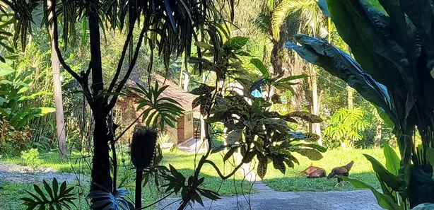 Fazenda / Sítio / Chácara com 3 Quartos à venda, 25000m² no Funchal, Cachoeiras de Macacu