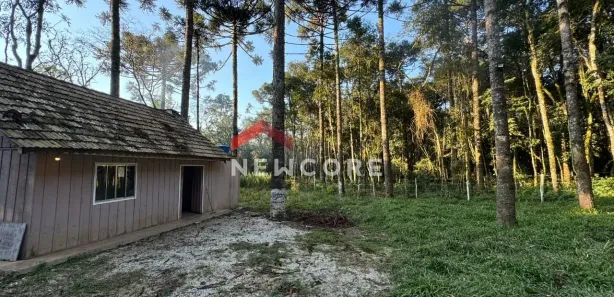 Fazenda / Sítio / Chácara com 1 Quarto à venda, 7286m² no Serrinha, Contenda