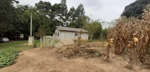 Fazenda / Sítio / Chácara com 2 Quartos à venda, 24100m² no , Contenda