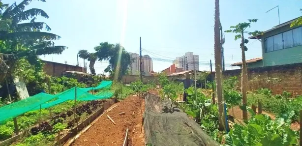 Terreno / Lote / Condomínio para alugar, 443m² no Vila Solar, Limeira