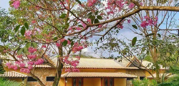 Hotel / Motel / Pousada com 11 Quartos à venda, 1000m² no Cotia, Guapimirim