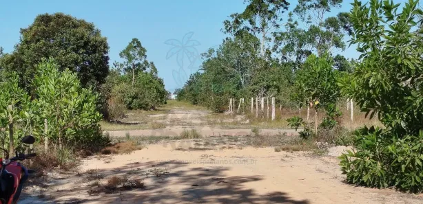 Terreno / Lote / Condomínio à venda, 600m² no , Prado