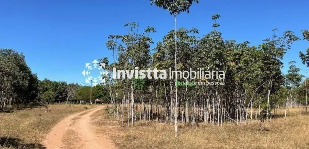 Fazenda / Sítio / Chácara à venda, 6969600m² no Centro, Divinópolis do Tocantins