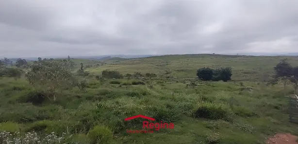 Fazenda / Sítio / Chácara com 3 Quartos à venda, 20000m² no Boa Vista, Caçapava