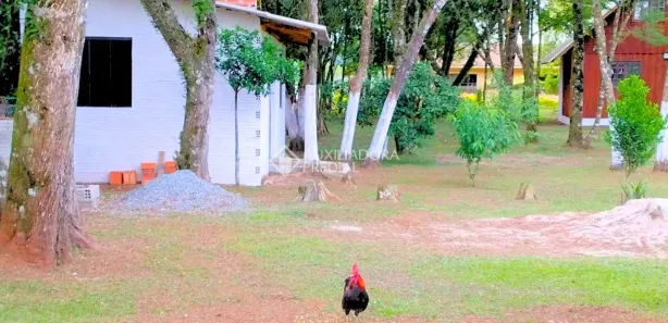 Terreno / Lote / Condomínio à venda, 2030m² no Centro, Balsa Nova