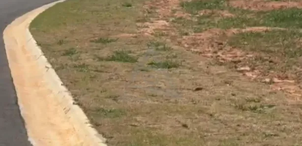 Terreno / Lote / Condomínio à venda, 605m² no Loteamento Alphaville Campinas, Campinas