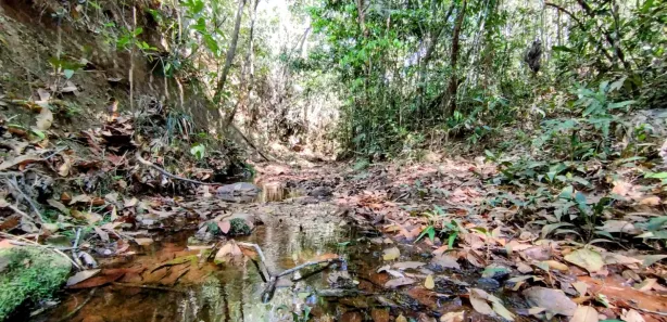 Fazenda / Sítio / Chácara à venda, 20000m² no Setor de Habitações Individuais Sul, Brasília