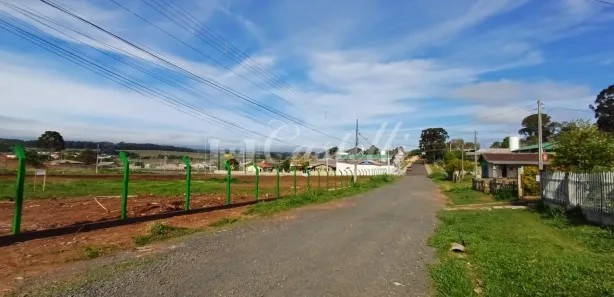 Terreno / Lote / Condomínio para alugar, 10000m² no Uvaranas, Ponta Grossa