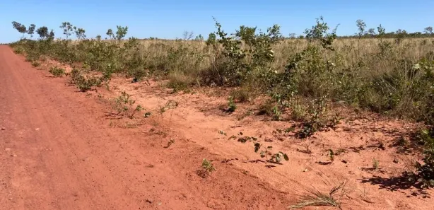Fazenda / Sítio / Chácara à venda, 78512m² no Setor Central, Porto Alegre do Tocantins