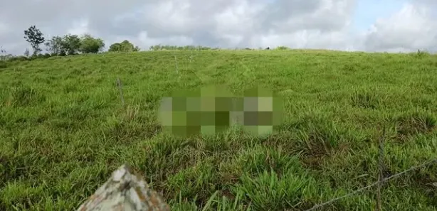 Fazenda / Sítio / Chácara com 5 Quartos à venda, 650000m² no Pau Ferro, Quipapá
