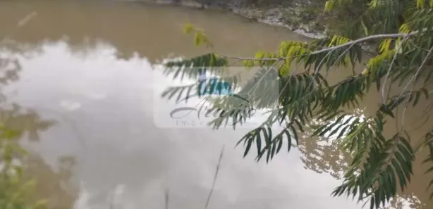 Fazenda / Sítio / Chácara à venda, 6m² no , Divinópolis do Tocantins