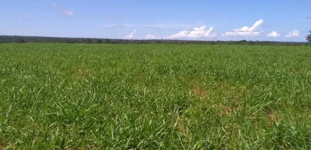 Fazenda / Sítio / Chácara à venda, 86757000m² no , Guaraí