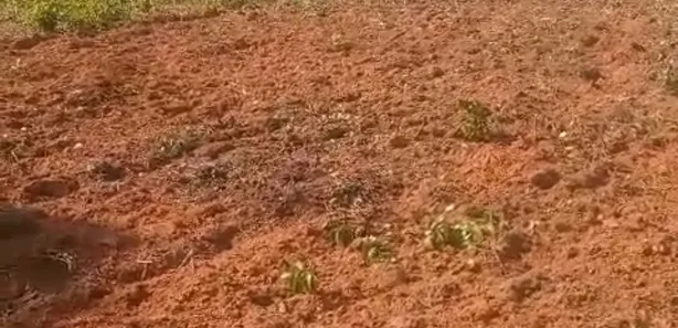 Fazenda / Sítio / Chácara à venda, 245m² no , Ponte Alta do Tocantins