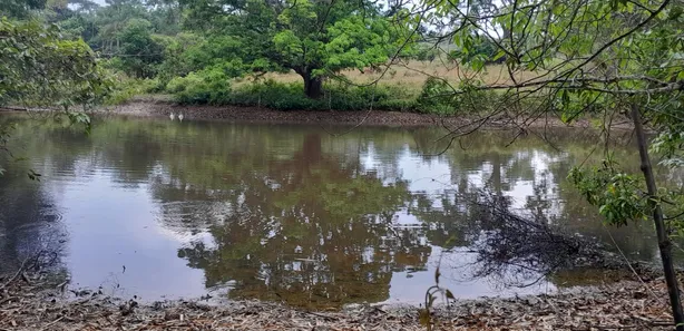 Fazenda / Sítio / Chácara com 2 Quartos à venda, 490000m² no Área Rural de Novo Gama, Novo Gama