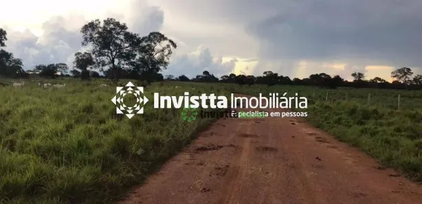 Fazenda / Sítio / Chácara à venda, 880m² no Jardim Paulista, Paraíso do Tocantins